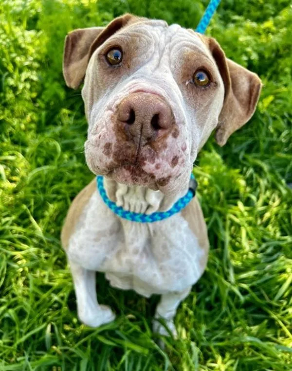 Luna