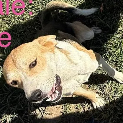 Kate thumbnail 2