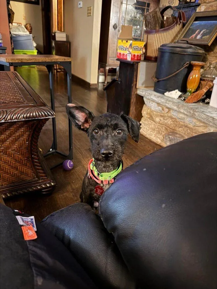 Victoria thumbnail 2