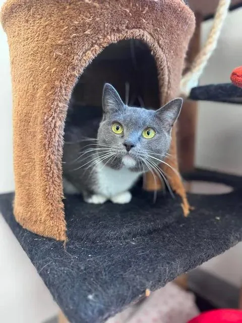 Checkers & Smokey thumbnail 2