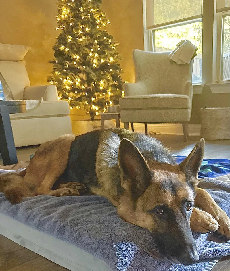 Luna Blitzen thumbnail 3