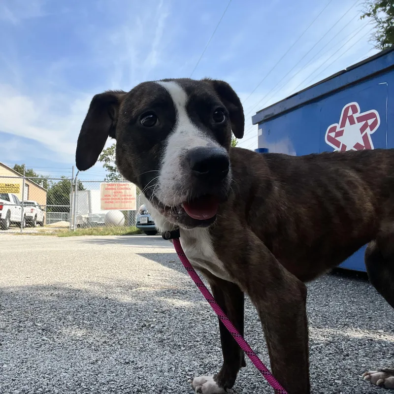 Ethel thumbnail 2