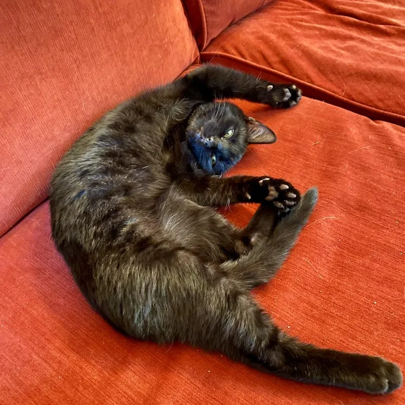 Fredrick Johnson thumbnail 5