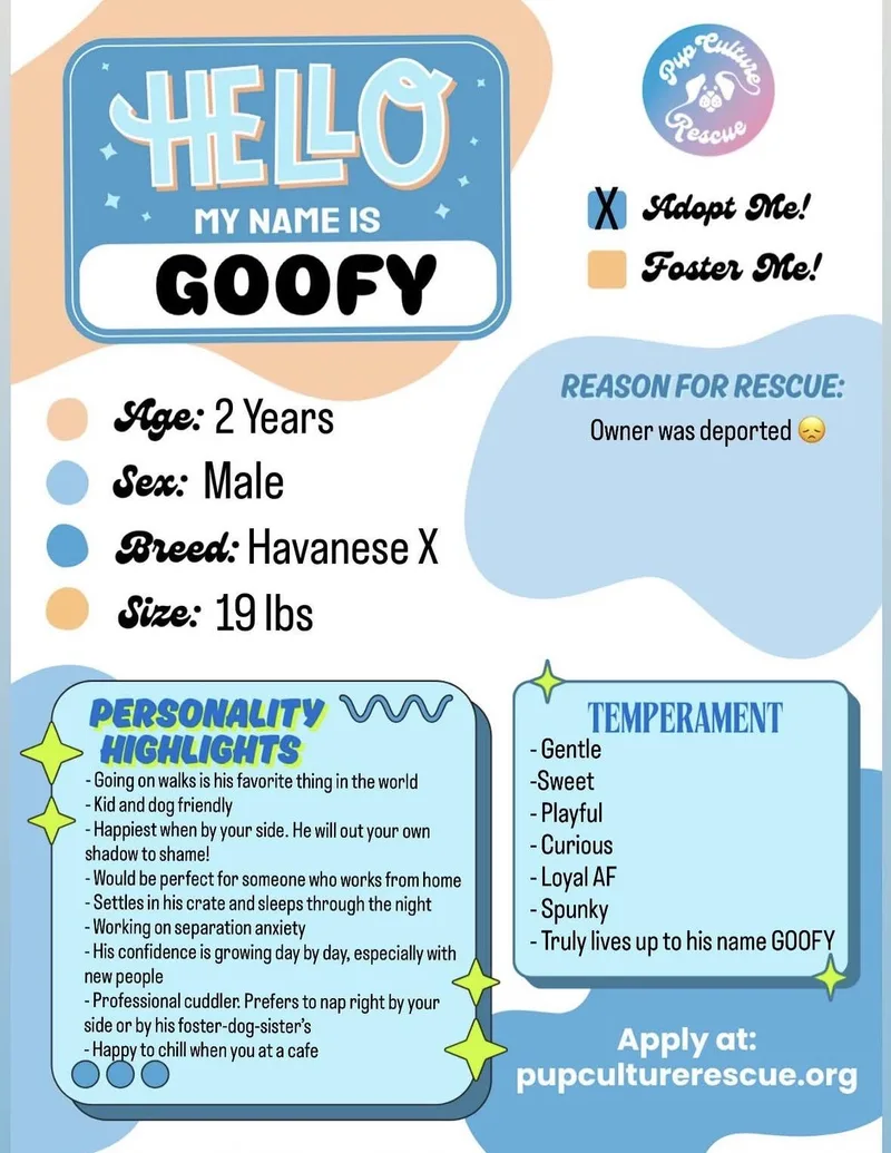 Goofy