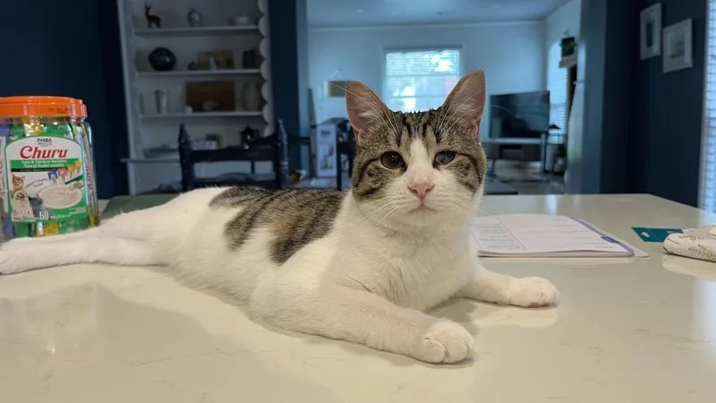 Felicity thumbnail 4