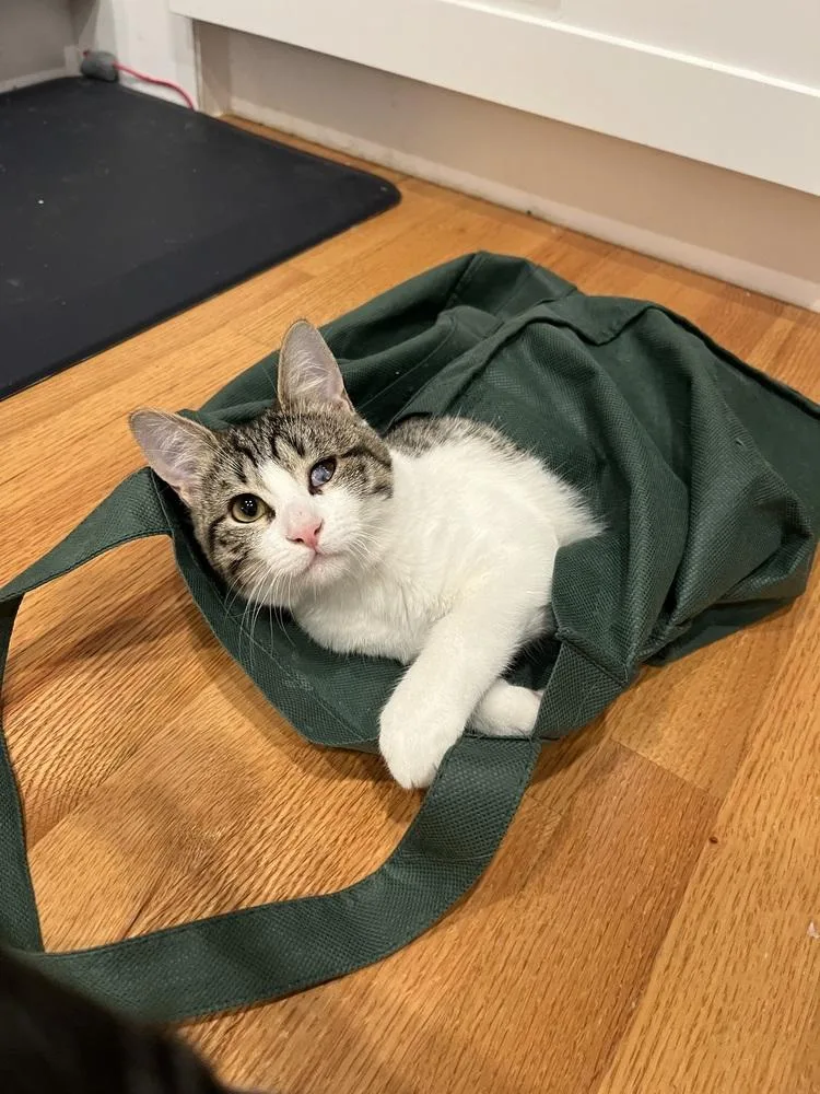 Felicity thumbnail 5