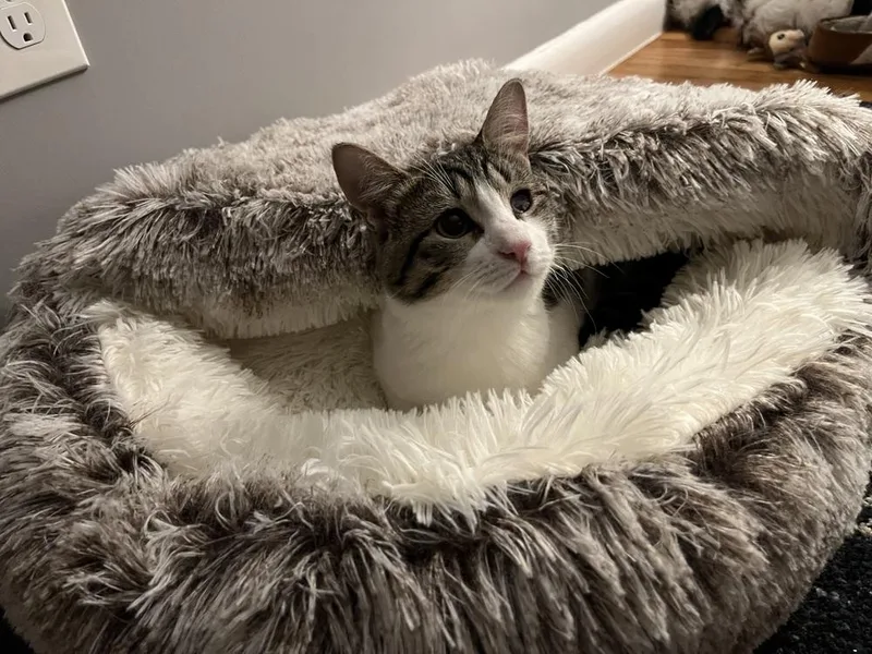 Felicity thumbnail 6