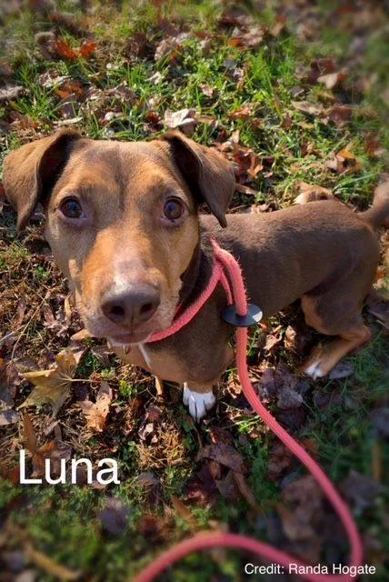 Luna