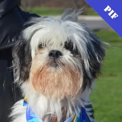 Napoleon thumbnail 3