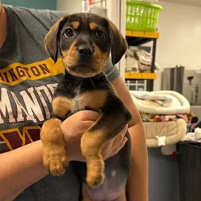 Sunseeker thumbnail 2