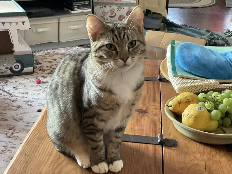 Lois & Clark thumbnail 2