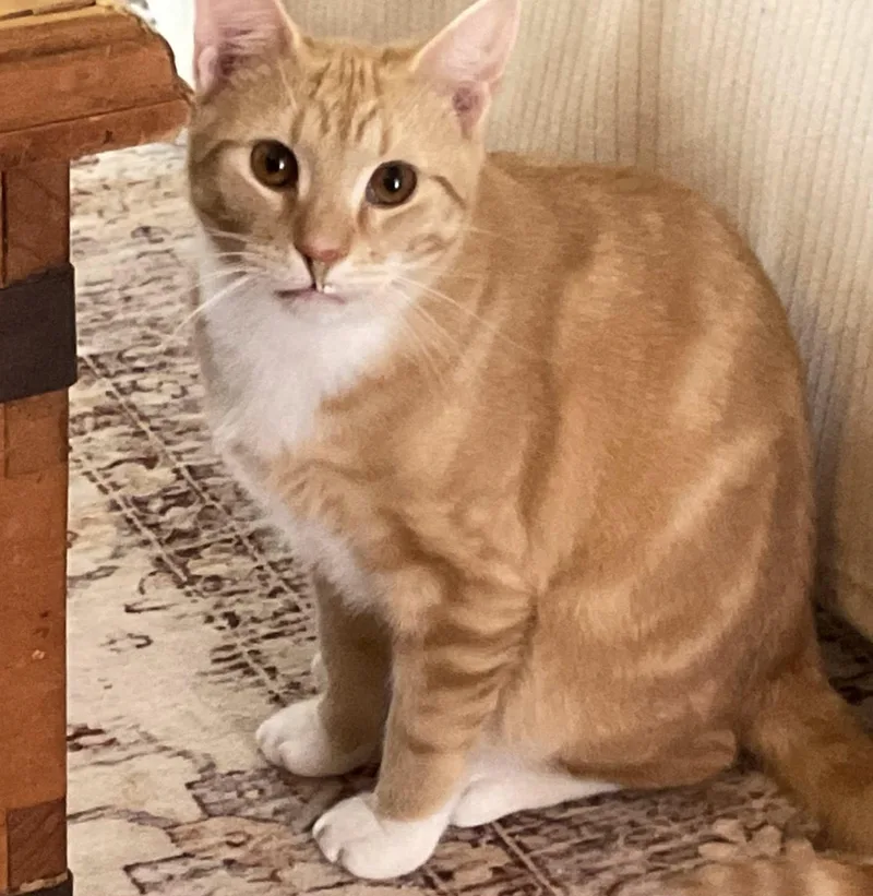 Lois & Clark thumbnail 3