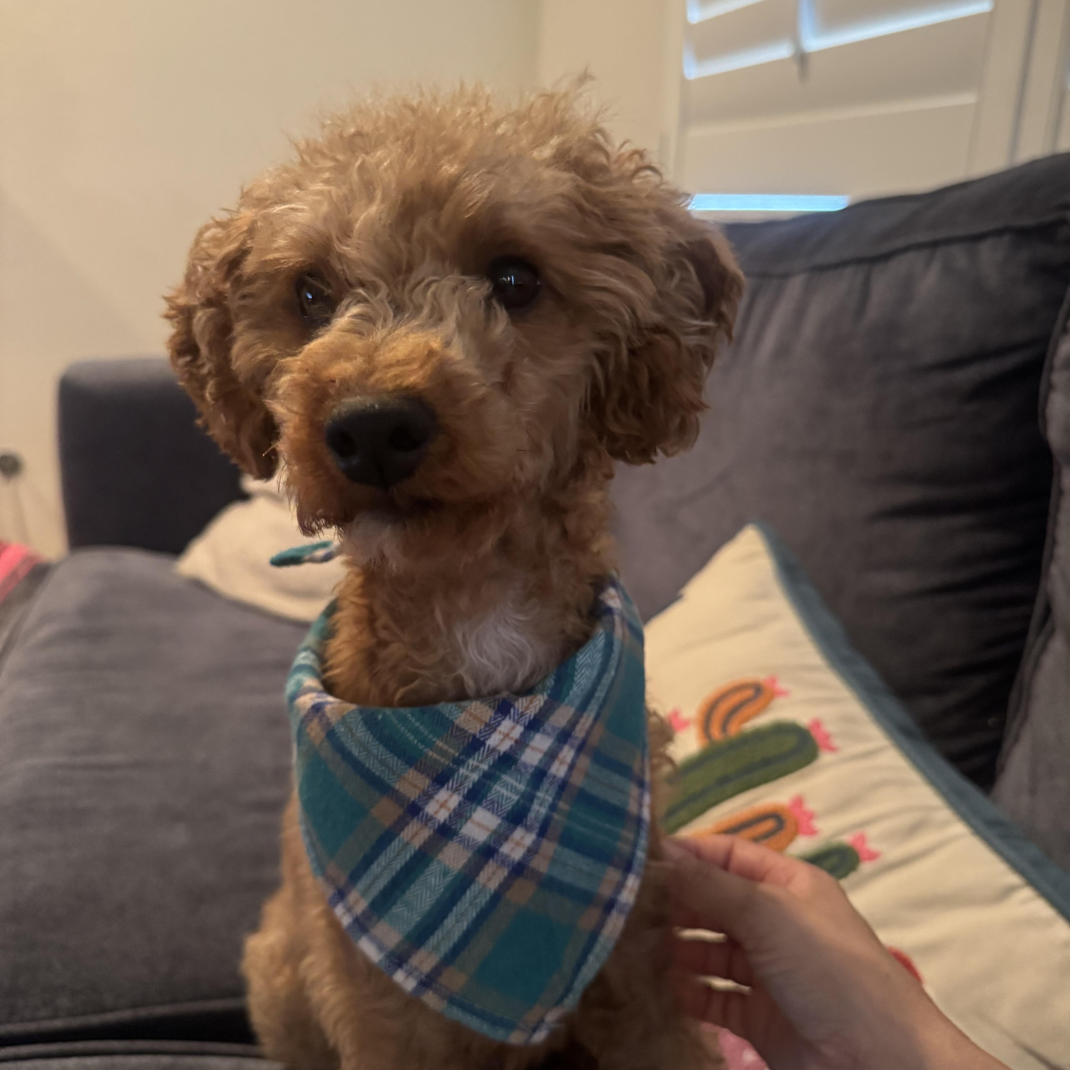 Milo