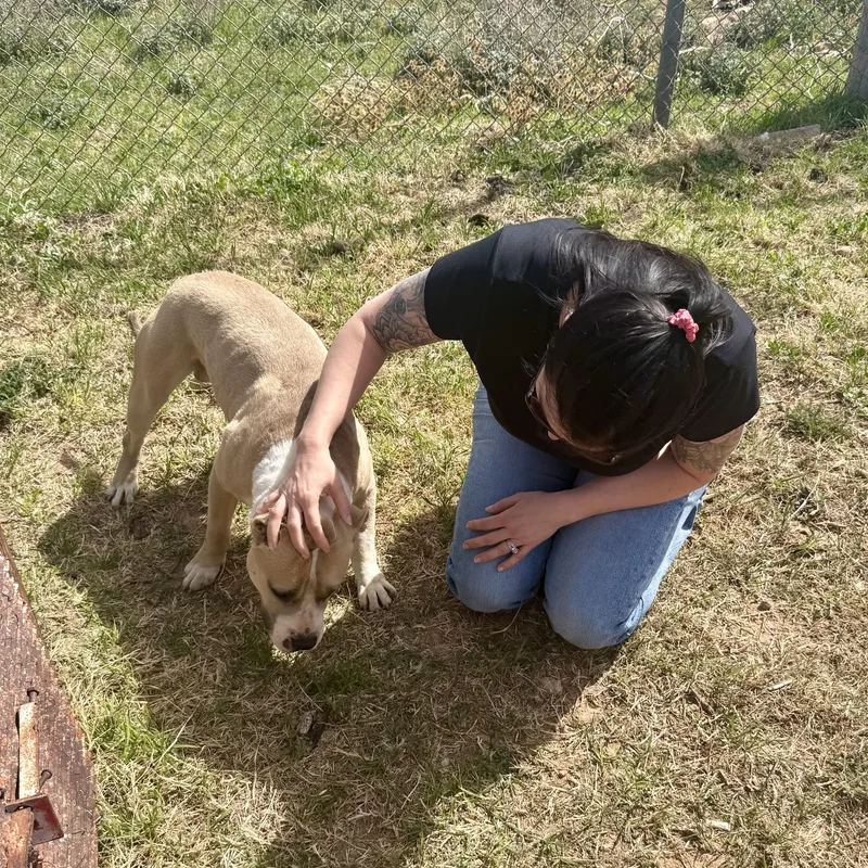 Moonshine thumbnail 3