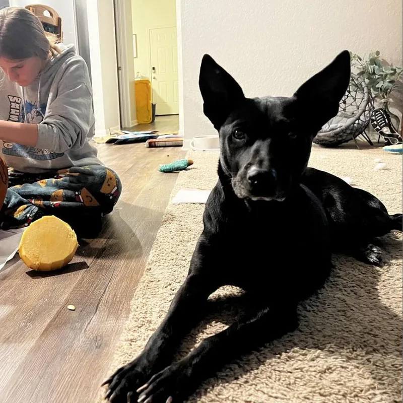 Chetty Jum thumbnail 3