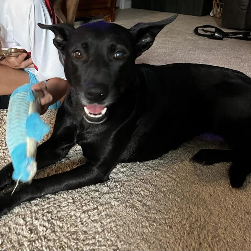 Chetty Jum thumbnail 4