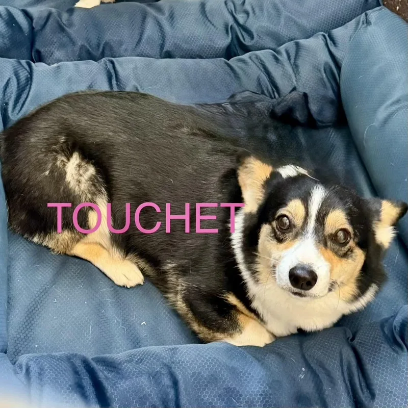 Touchet