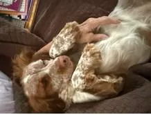 Nora thumbnail 5