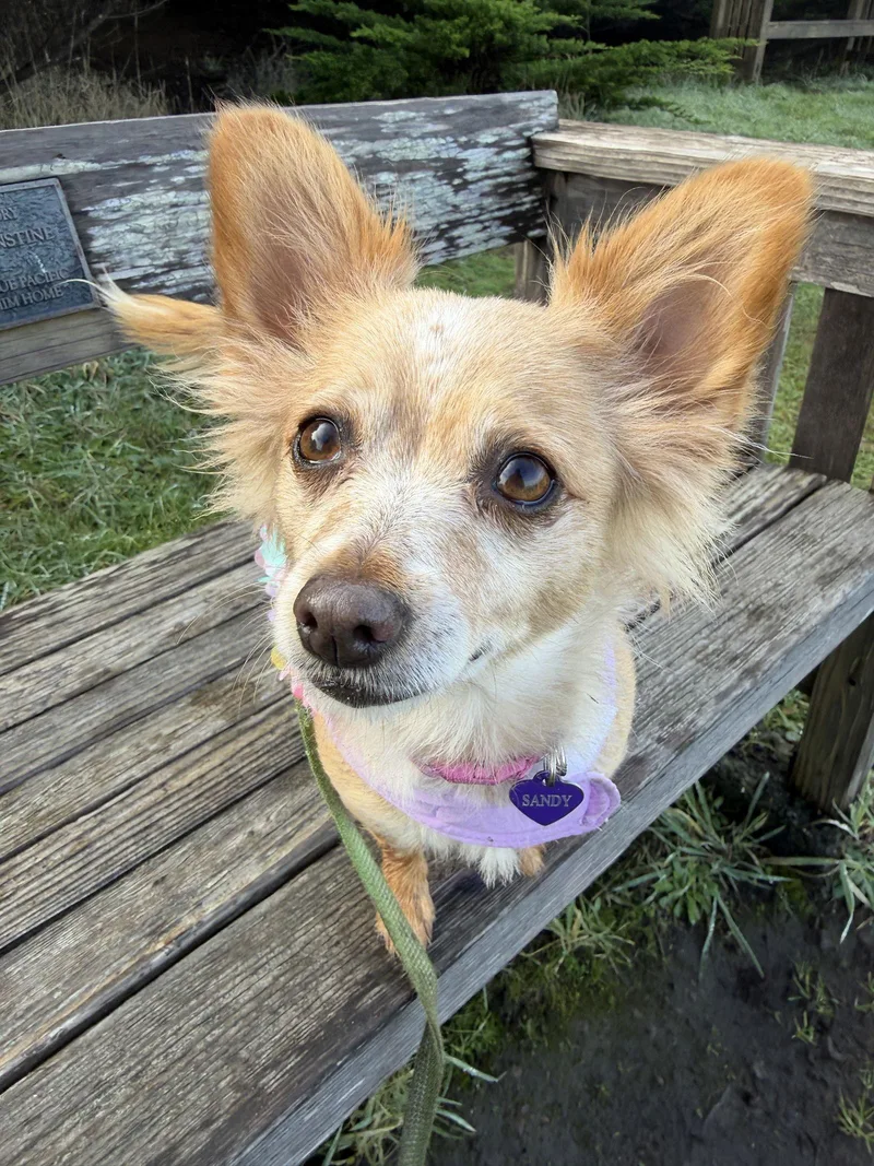 Naomi Mcgee thumbnail 2