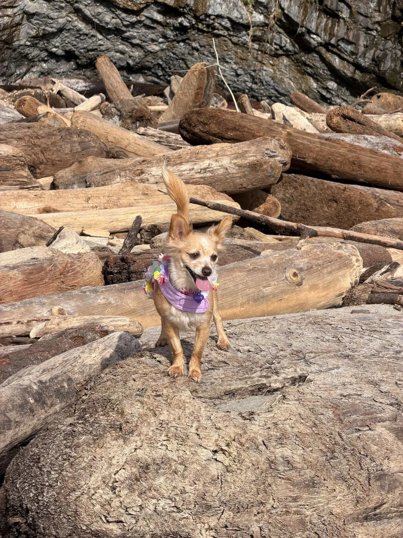 Naomi Mcgee thumbnail 3