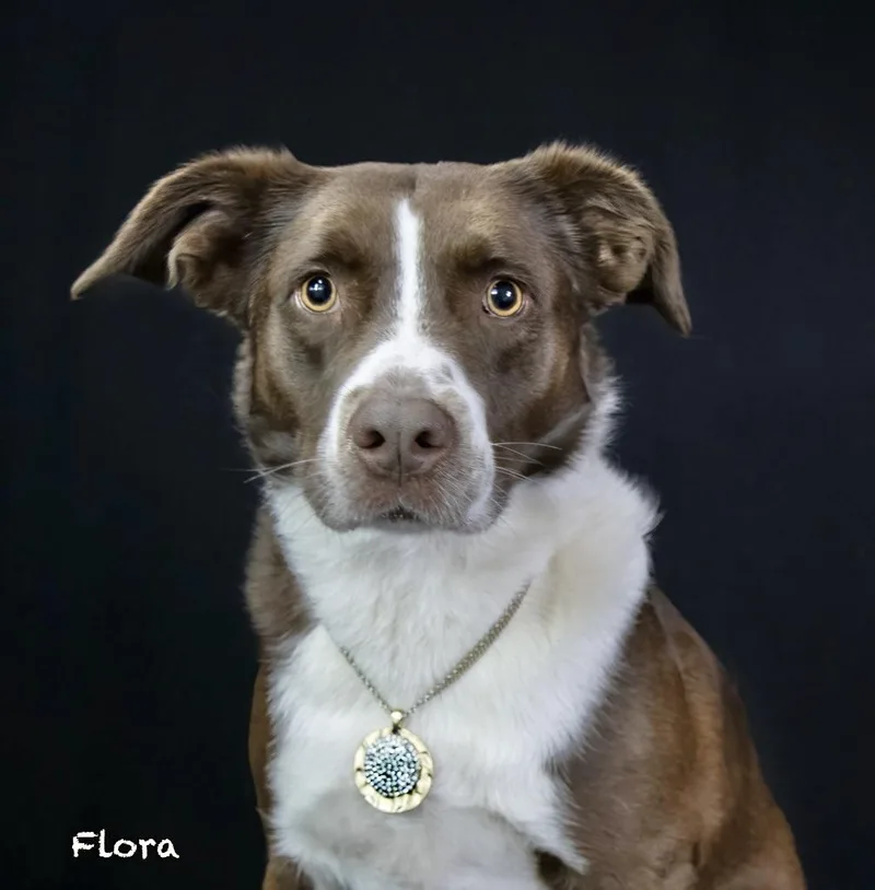 Flora