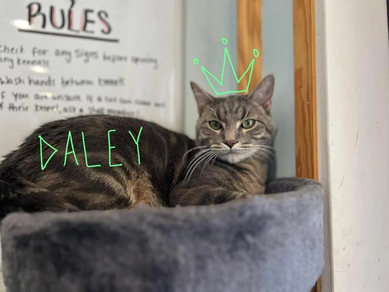 RC Daley  Whiskers thumbnail 3
