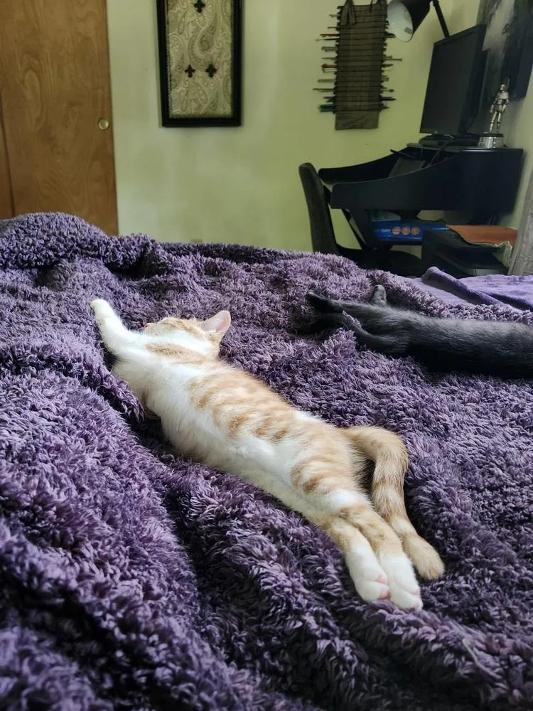 Sea Salt thumbnail 2