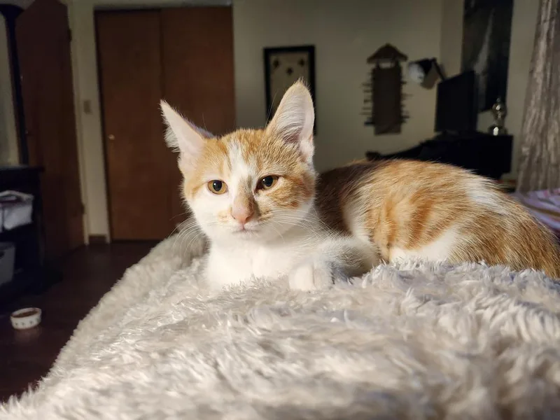 Sea Salt thumbnail 3