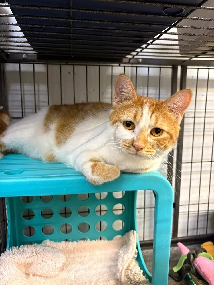 Sea Salt thumbnail 4