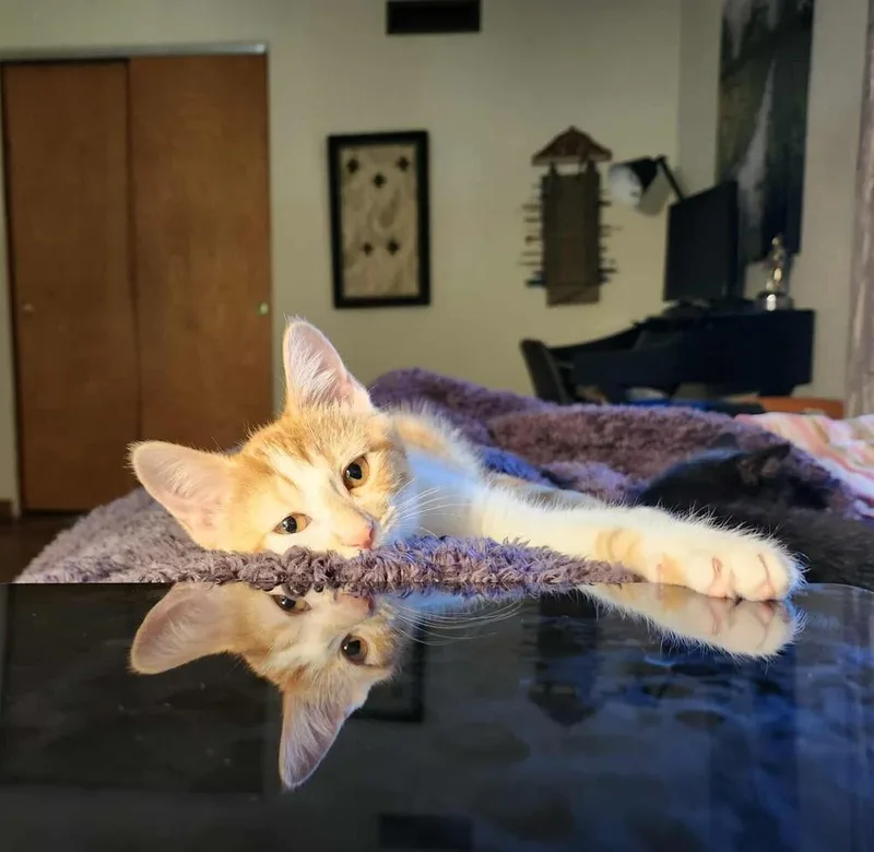 Sea Salt thumbnail 5