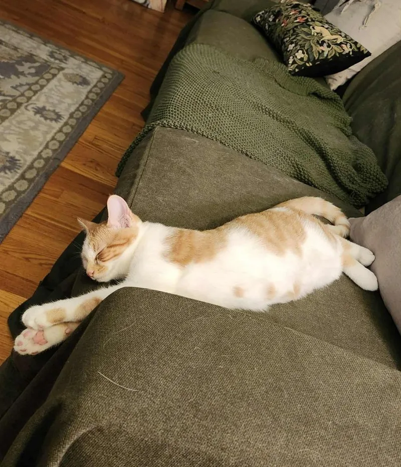 Sea Salt thumbnail 6