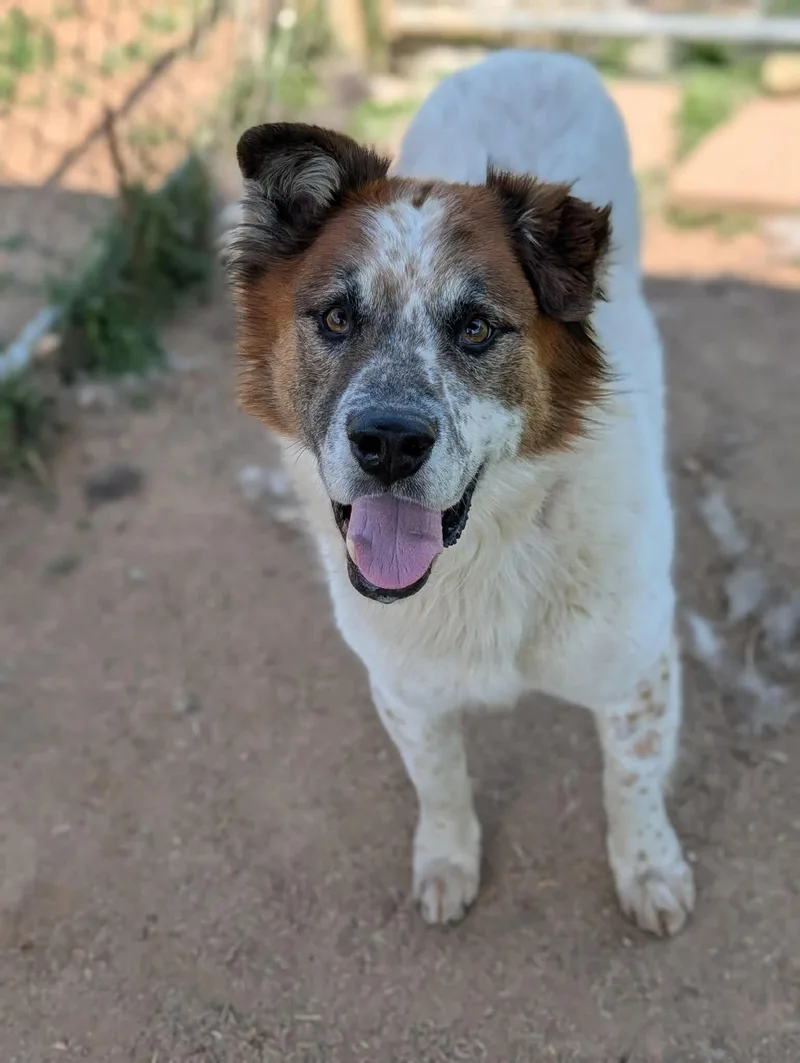 Rusty