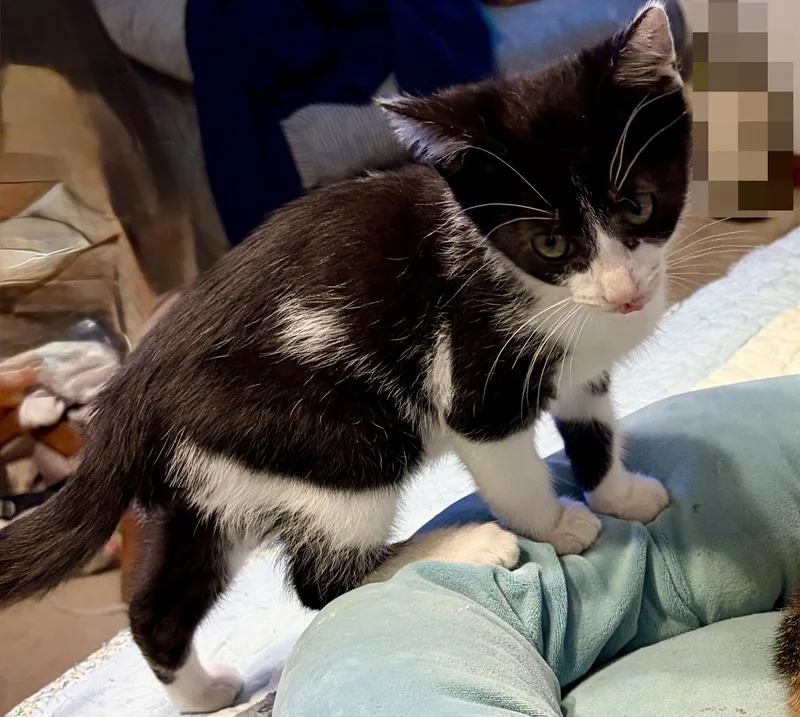 Danny thumbnail 2