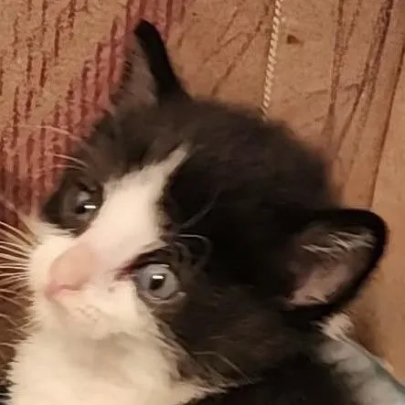 Danny thumbnail 3