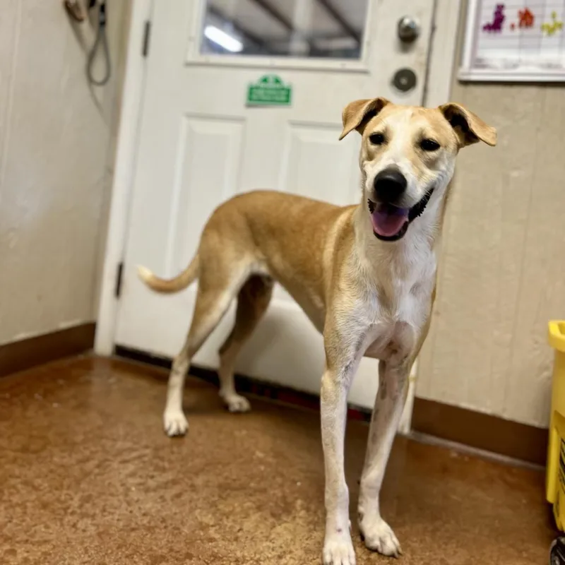 Claudius thumbnail 6