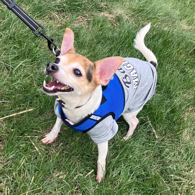 Finley And Ferris thumbnail 3