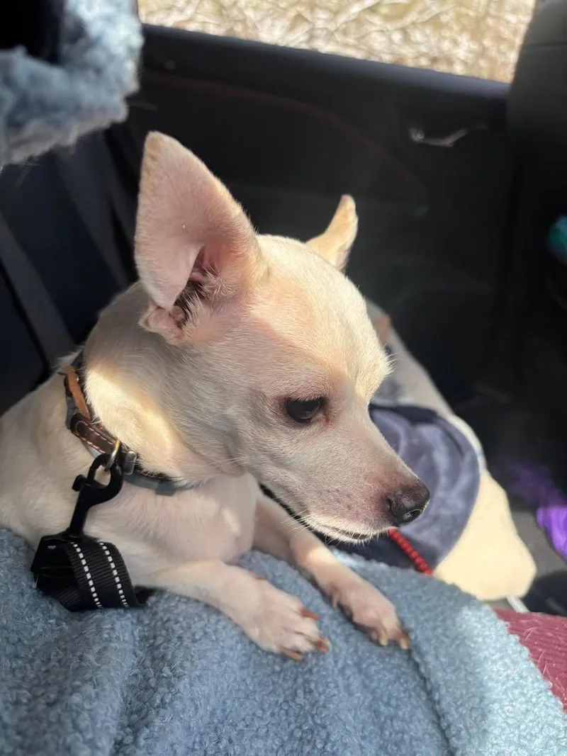 Finley And Ferris thumbnail 4