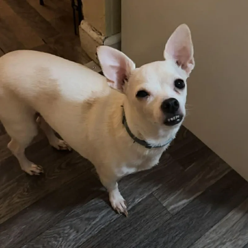 Finley And Ferris thumbnail 6