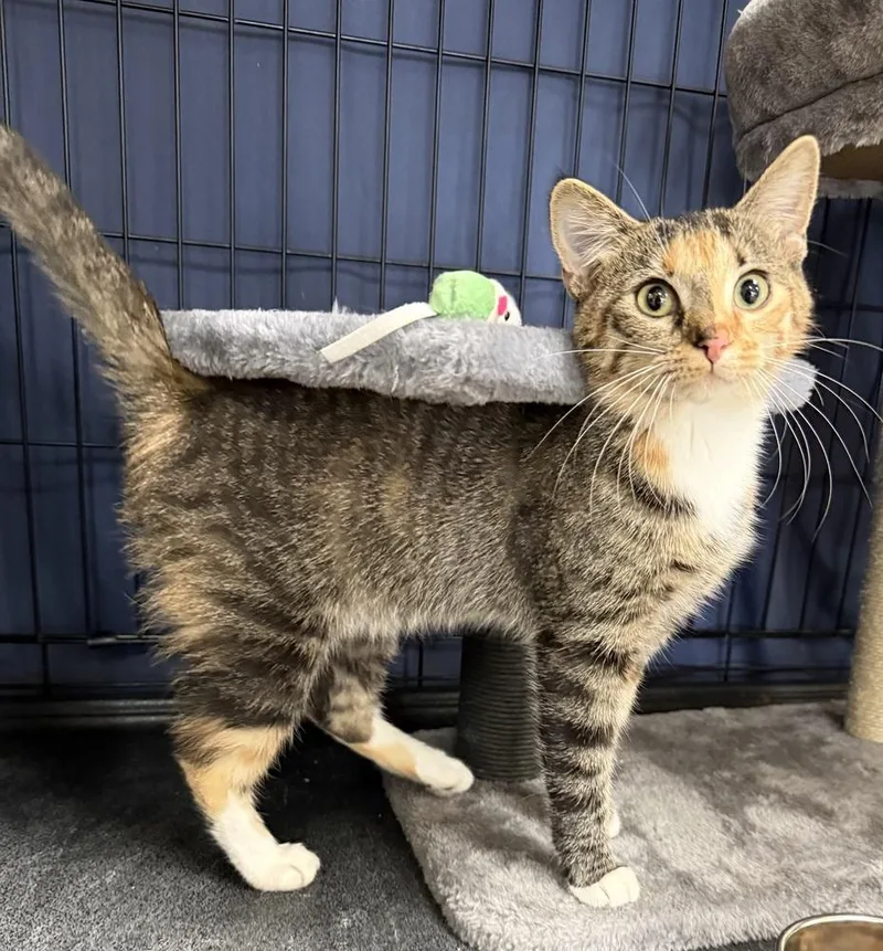 Graffiti thumbnail 2