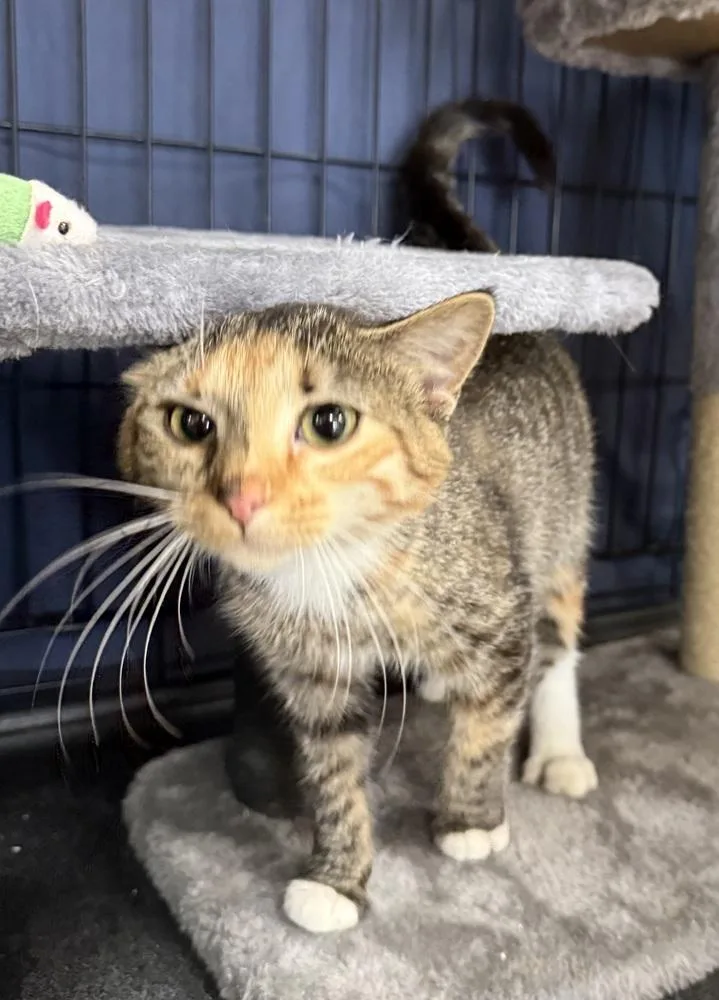 Graffiti thumbnail 3