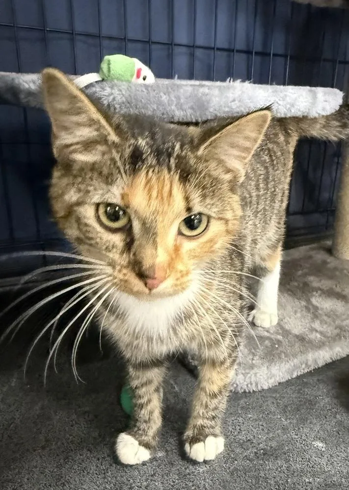 Graffiti thumbnail 4