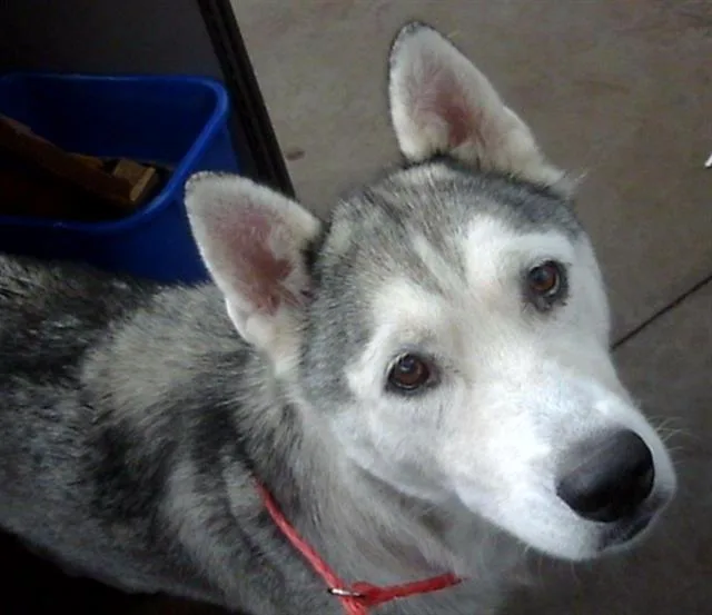 Fiona