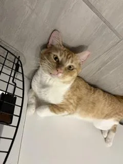 Billy Biscuits thumbnail 2