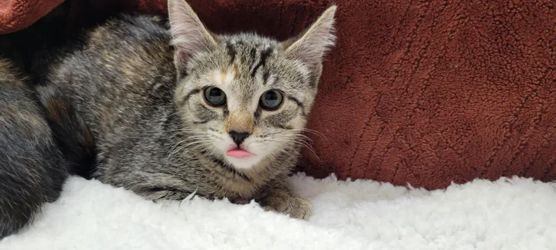 Billie Jean thumbnail 4