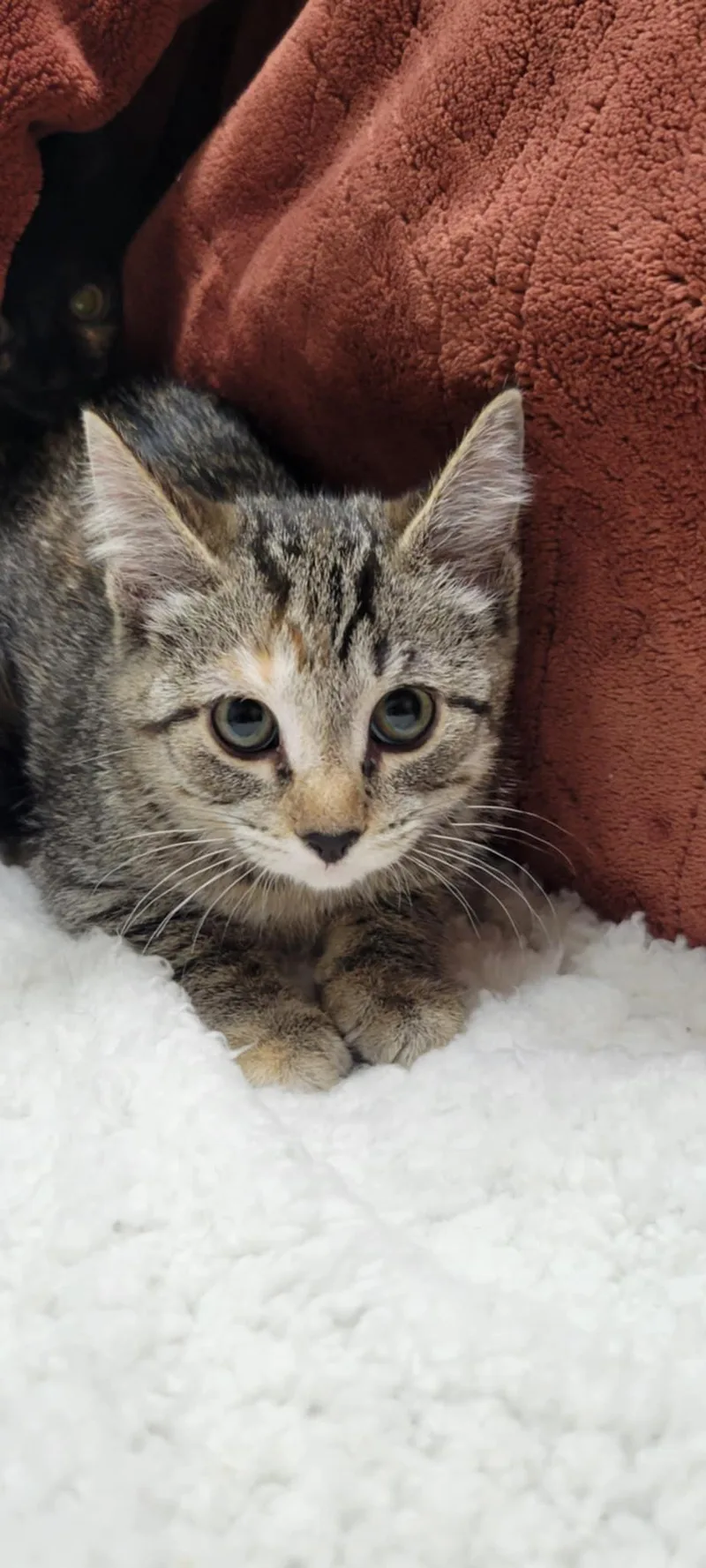 Billie Jean thumbnail 5