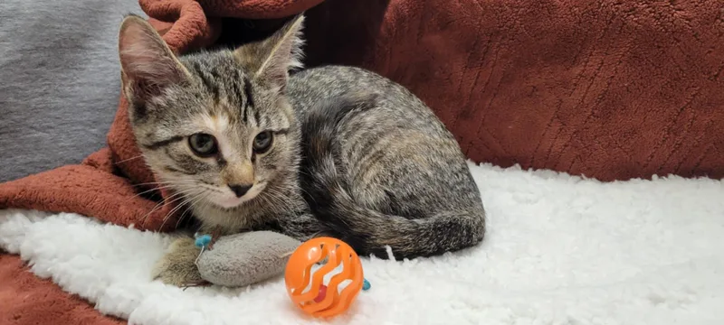 Billie Jean thumbnail 6