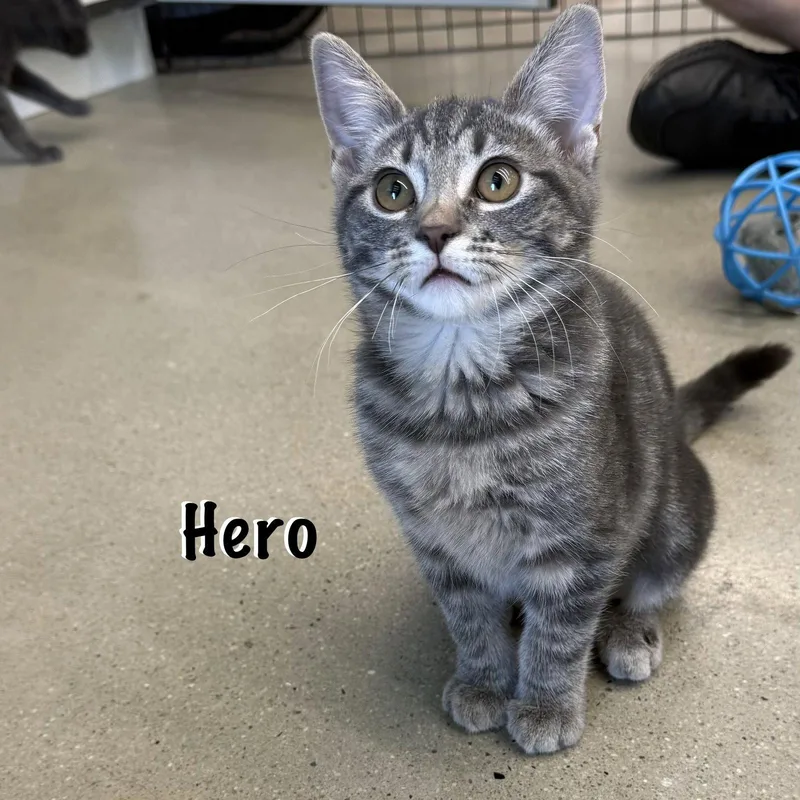 Hero thumbnail 2