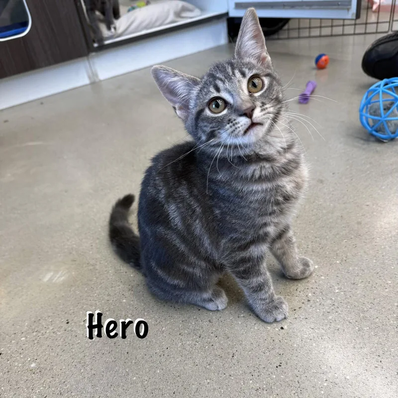 Hero thumbnail 3