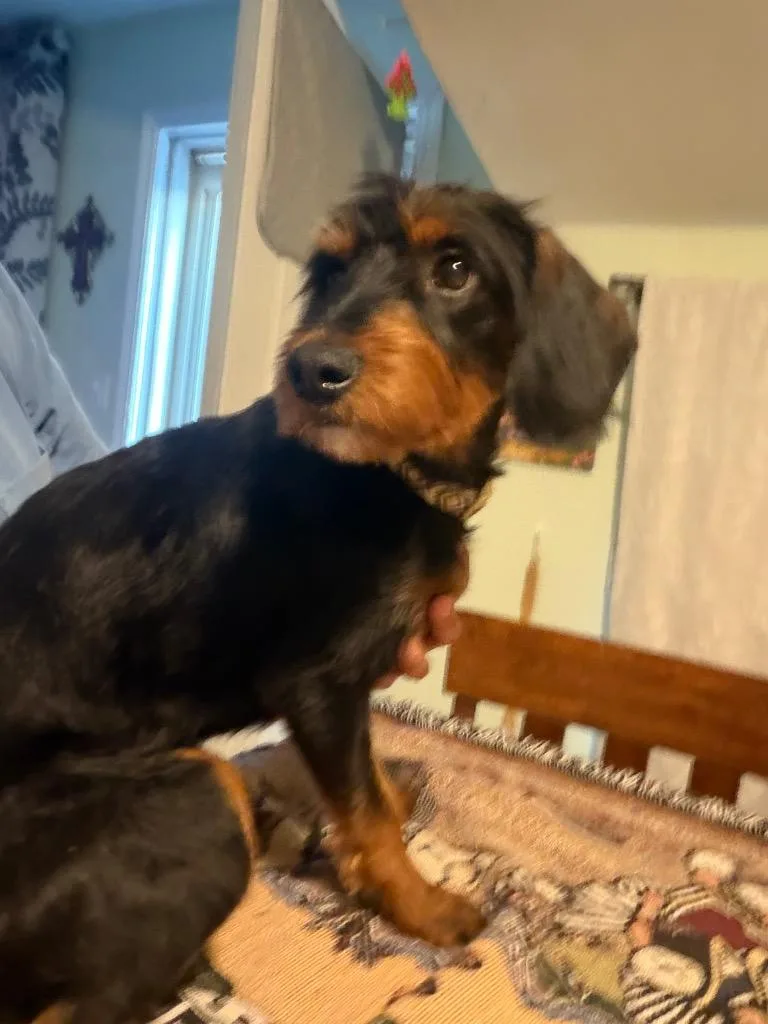 Max