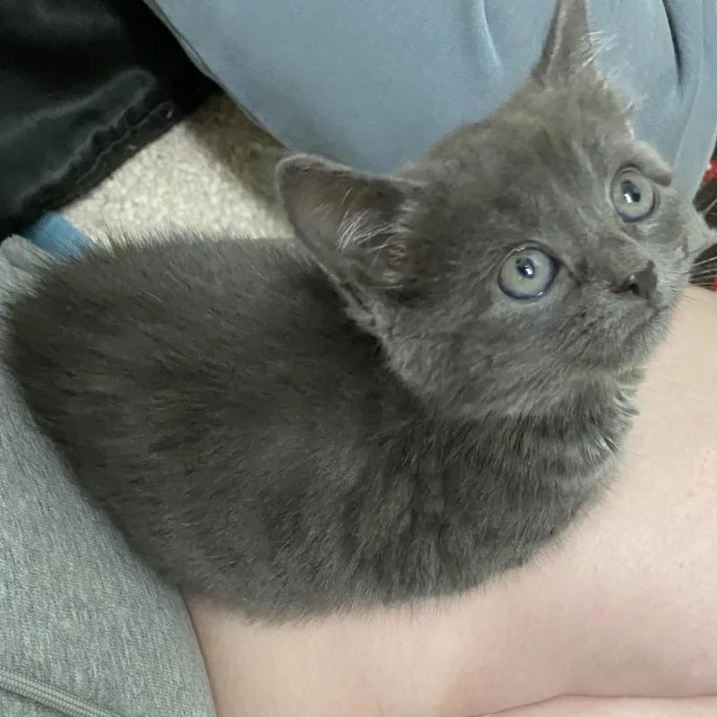 Pistachio thumbnail 2